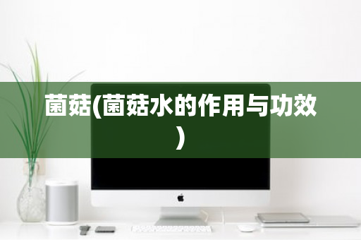 菌菇(菌菇水的作用与功效)