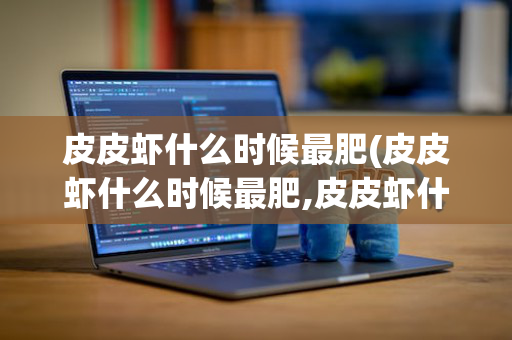 皮皮虾什么时候最肥(皮皮虾什么时候最肥,皮皮虾什么时候好吃)