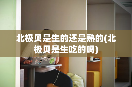 北极贝是生的还是熟的(北极贝是生吃的吗)
