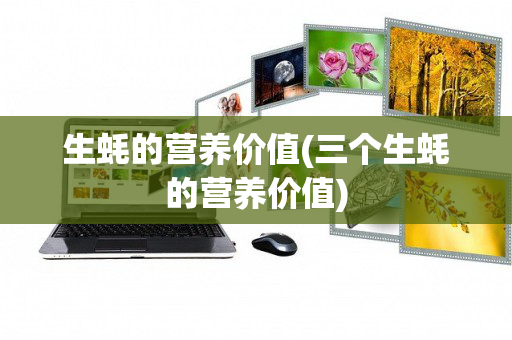 生蚝的营养价值(三个生蚝的营养价值)