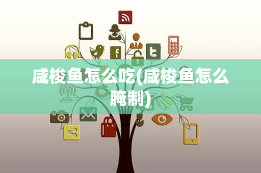咸梭鱼怎么吃(咸梭鱼怎么腌制)