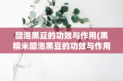 醋泡黑豆的功效与作用(黑糯米醋泡黑豆的功效与作用)
