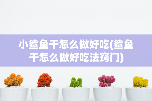 小鲨鱼干怎么做好吃(鲨鱼干怎么做好吃法窍门)