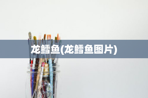 龙鳕鱼(龙鳕鱼图片)
