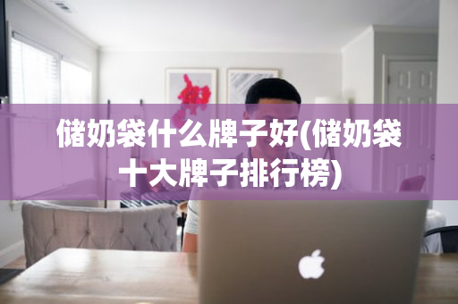 储奶袋什么牌子好(储奶袋十大牌子排行榜)
