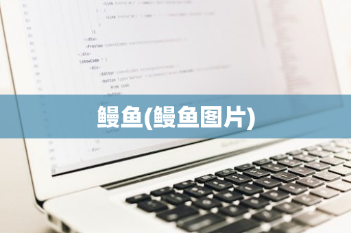 鳗鱼(鳗鱼图片)