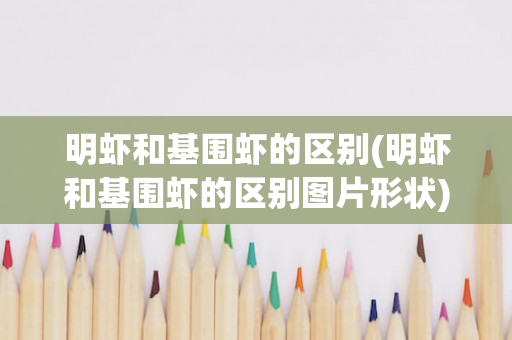 明虾和基围虾的区别(明虾和基围虾的区别图片形状)