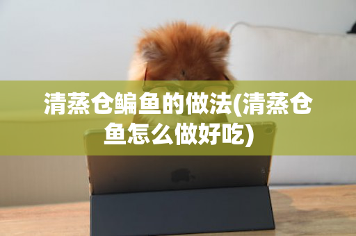 清蒸仓鳊鱼的做法(清蒸仓鱼怎么做好吃)