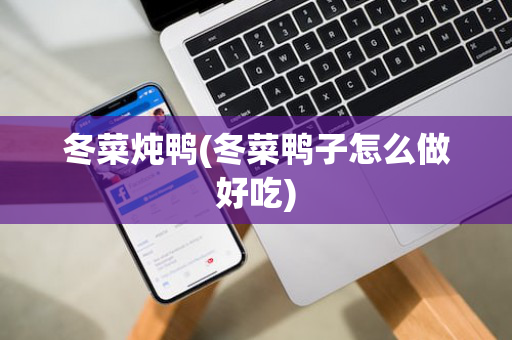 冬菜炖鸭(冬菜鸭子怎么做好吃)