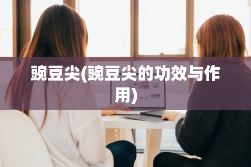 豌豆尖(豌豆尖的功效与作用)