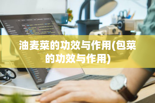 油麦菜的功效与作用(包菜的功效与作用)