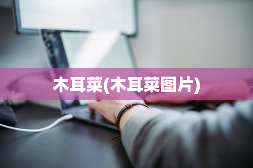 木耳菜(木耳菜图片)