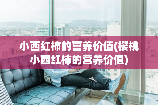 小西红柿的营养价值(樱桃小西红柿的营养价值)