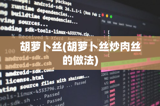 胡萝卜丝(胡萝卜丝炒肉丝的做法)