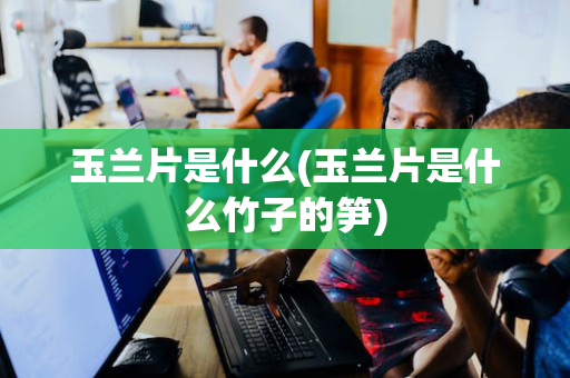 玉兰片是什么(玉兰片是什么竹子的笋)
