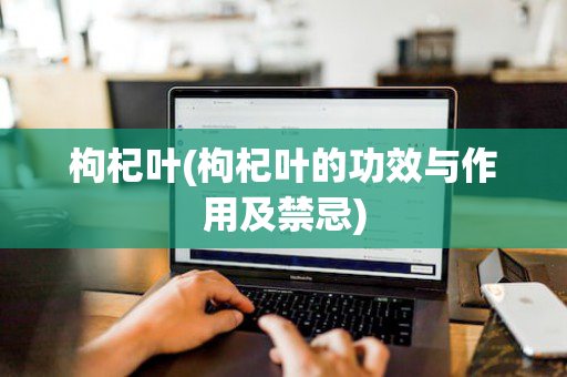枸杞叶(枸杞叶的功效与作用及禁忌)