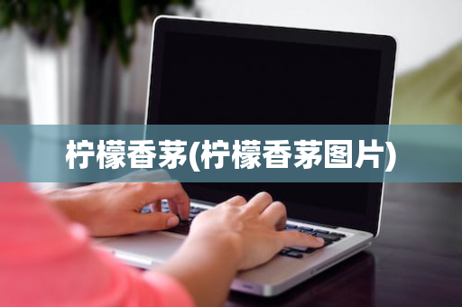 柠檬香茅(柠檬香茅图片)