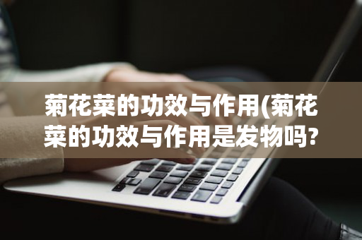 菊花菜的功效与作用(菊花菜的功效与作用是发物吗?)