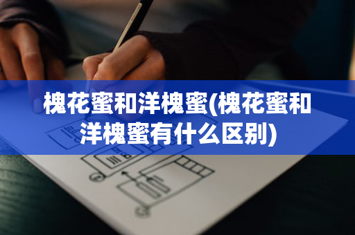 槐花蜜和洋槐蜜(槐花蜜和洋槐蜜有什么区别)