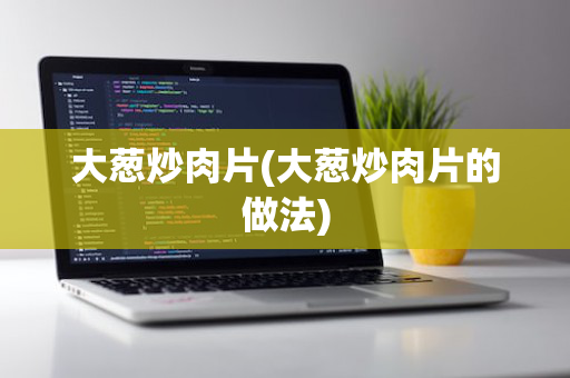 大葱炒肉片(大葱炒肉片的做法)