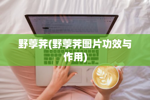野荸荠(野荸荠图片功效与作用)