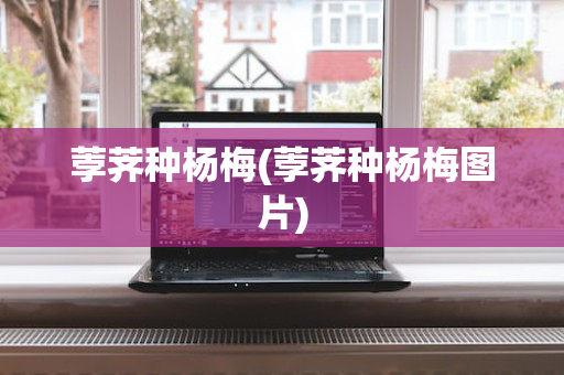 荸荠种杨梅(荸荠种杨梅图片)