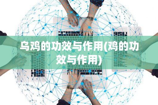 乌鸡的功效与作用(鸡的功效与作用)