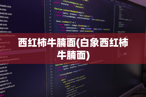西红柿牛腩面(白象西红柿牛腩面)