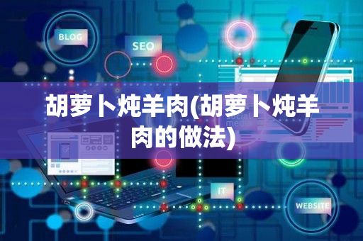 胡萝卜炖羊肉(胡萝卜炖羊肉的做法)