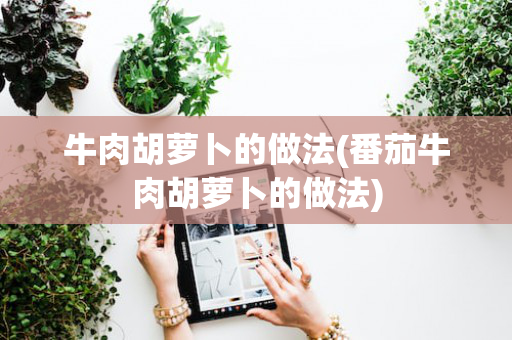 牛肉胡萝卜的做法(番茄牛肉胡萝卜的做法)