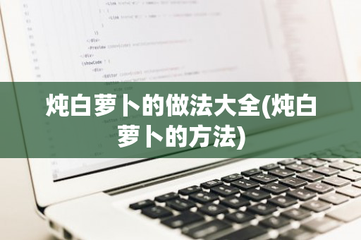 炖白萝卜的做法大全(炖白萝卜的方法)