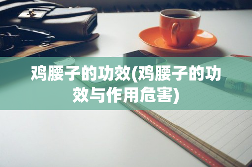 鸡腰子的功效(鸡腰子的功效与作用危害)