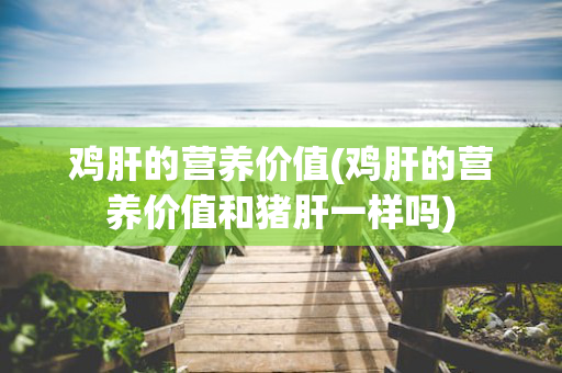 鸡肝的营养价值(鸡肝的营养价值和猪肝一样吗)