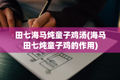 田七海马炖童子鸡汤(海马田七炖童子鸡的作用)