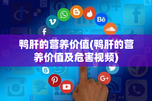 鸭肝的营养价值(鸭肝的营养价值及危害视频)