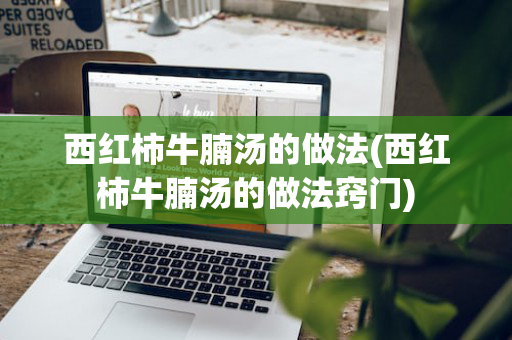 西红柿牛腩汤的做法(西红柿牛腩汤的做法窍门)