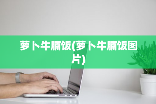 萝卜牛腩饭(萝卜牛腩饭图片)