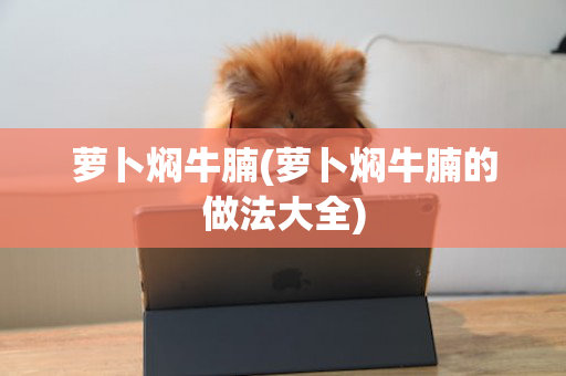萝卜焖牛腩(萝卜焖牛腩的做法大全)
