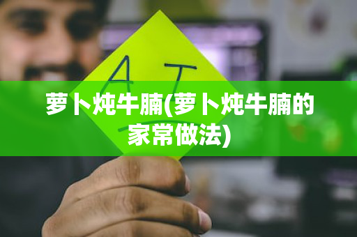 萝卜炖牛腩(萝卜炖牛腩的家常做法)
