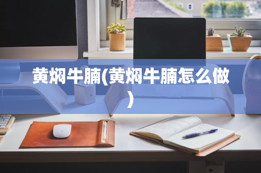 黄焖牛腩(黄焖牛腩怎么做)