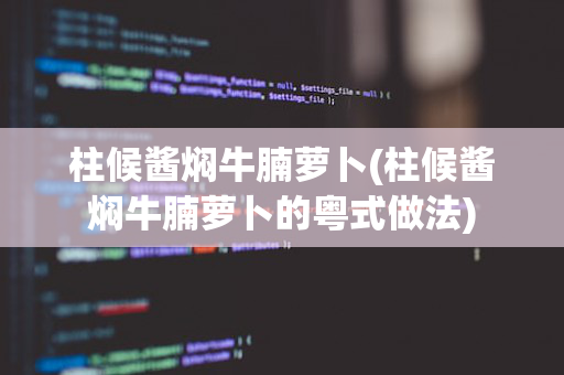 柱候酱焖牛腩萝卜(柱候酱焖牛腩萝卜的粤式做法)