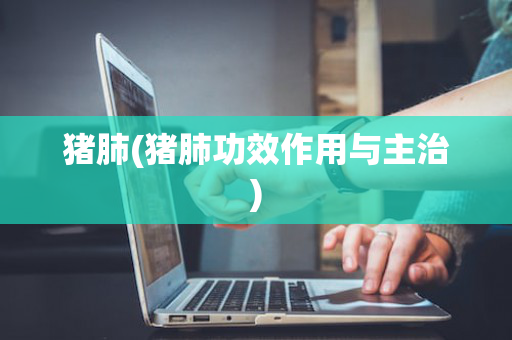 猪肺(猪肺功效作用与主治)