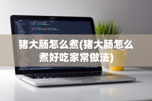 猪大肠怎么煮(猪大肠怎么煮好吃家常做法)