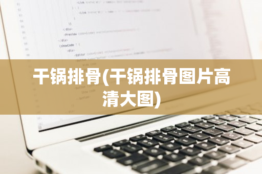 干锅排骨(干锅排骨图片高清大图)