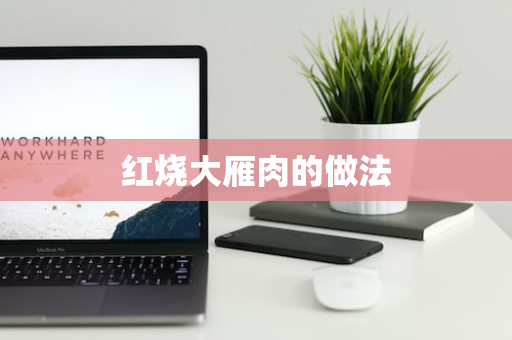 红烧大雁肉的做法