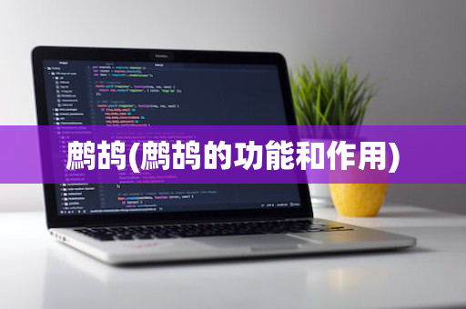 鹧鸪(鹧鸪的功能和作用)