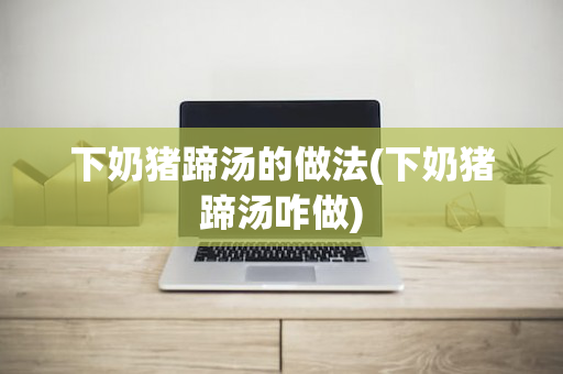 下奶猪蹄汤的做法(下奶猪蹄汤咋做)