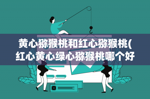 黄心猕猴桃和红心猕猴桃(红心黄心绿心猕猴桃哪个好)