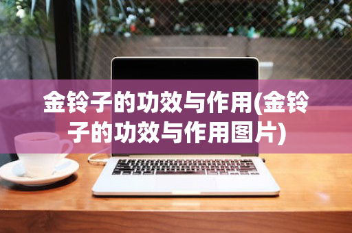 金铃子的功效与作用(金铃子的功效与作用图片)
