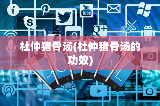 杜仲猪骨汤(杜仲猪骨汤的功效)